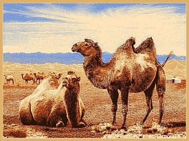 Шерстяной пейзажный ковер в стиле Модерн из шерсти Hunnu 6S873 82 верблюды